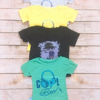 Combo 75 áo cộc cotton 4c