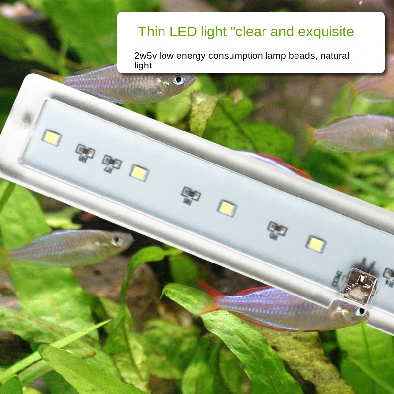 Đèn LED mini Tiết Kiệm Năng Lượng Cho Bể Cá Cảnh