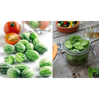 Hạt Giống Dưa Hấu Mini (5 hạt) - Rau củ quả trồng tại vườn, sân thượng, nông trang, ban công