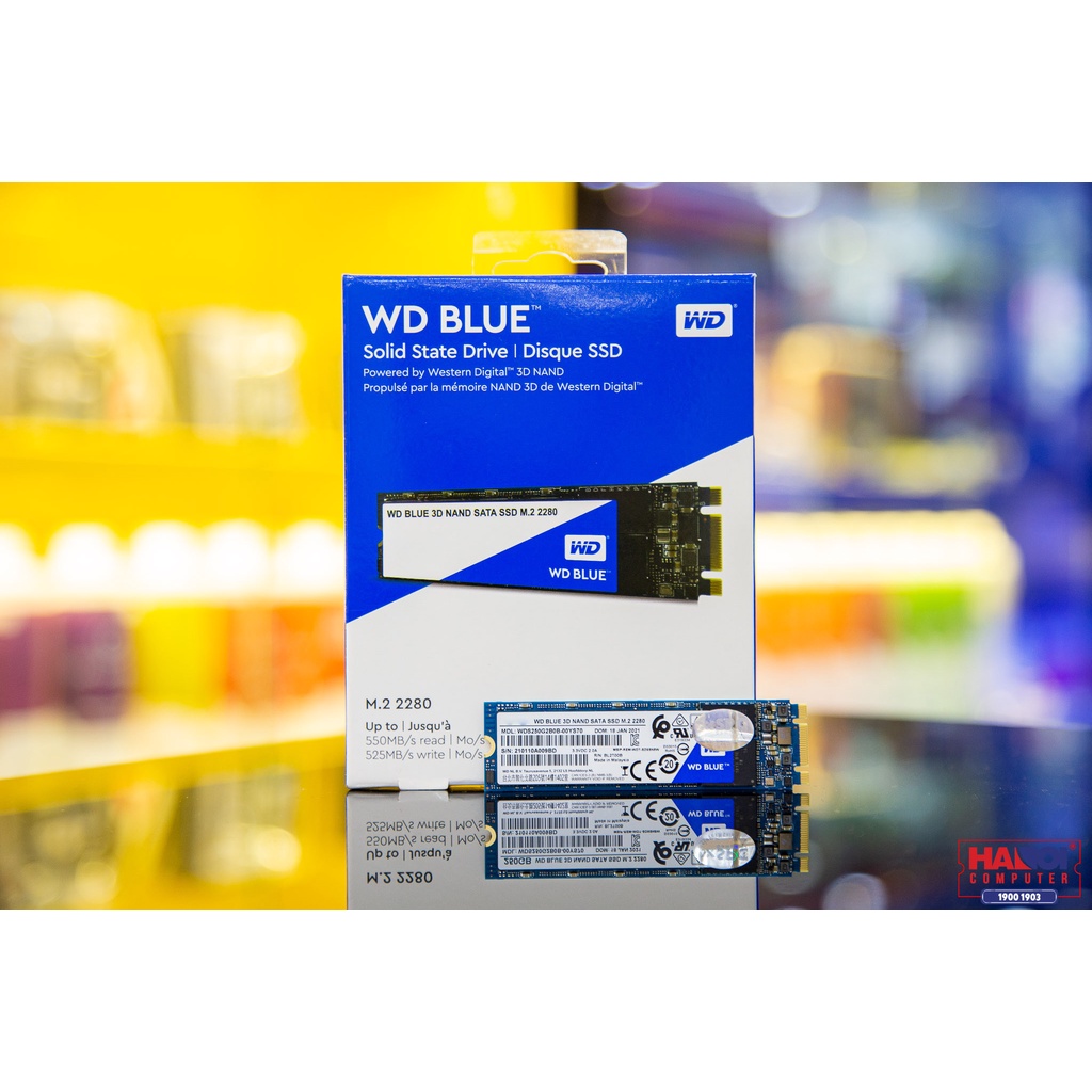 Ổ cứng SSD WD Blue 250GB M.2 SATA III (Đọc 550MB/s - Ghi 525MB/s) - (WDS250G2B0B)