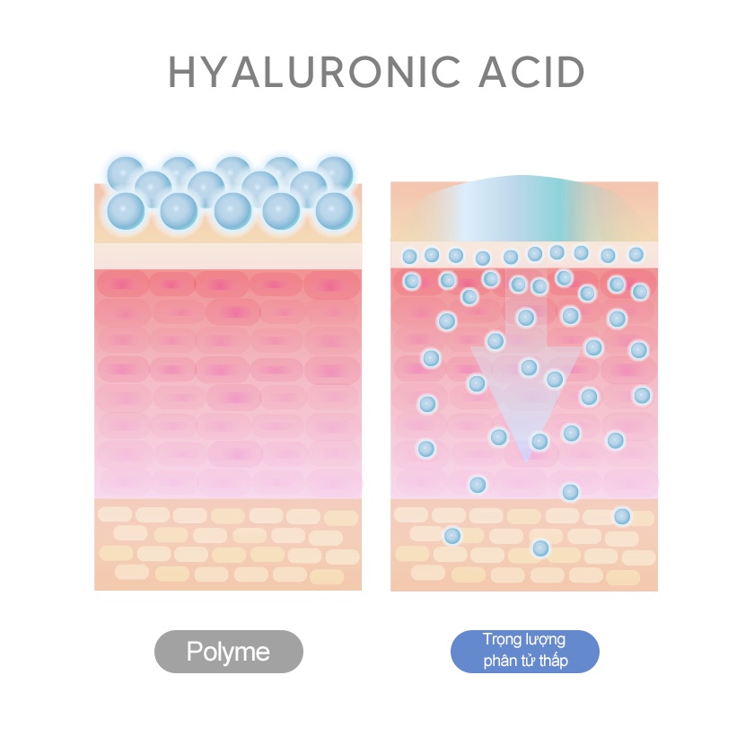 Tinh chất dưỡng ẩm Derma Factory Hyaluron 1% Serum 30ml