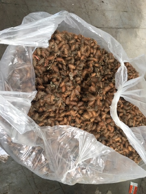 Combo 500gram kỷ tử, 500gram ké ngựa, 200gram cam thảo