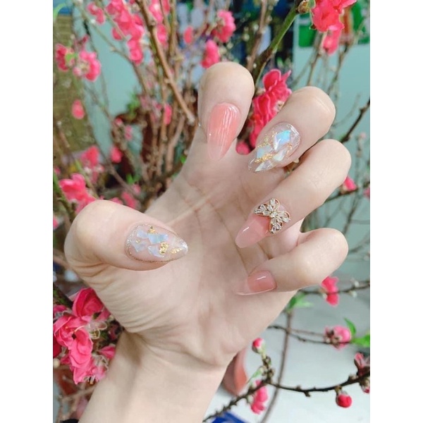 Móng úp hsm fom bầu