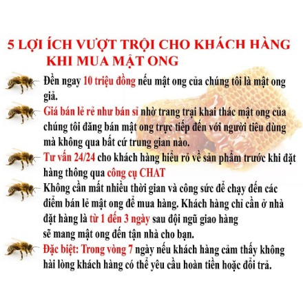 [GIÁ HỦY DIỆT] Mật ong hoa bạc hà Vanbina - 100ml Mật ong xuất khẩu Châu Âu