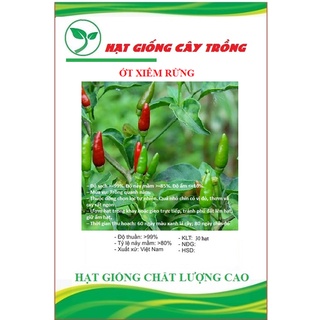 Hạt giống ớt xiêm rừng - ớt thóc ct57 - gói 30 hạt