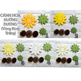 SÉT HOA HƯỚNG DƯƠNG CẮT SẴN