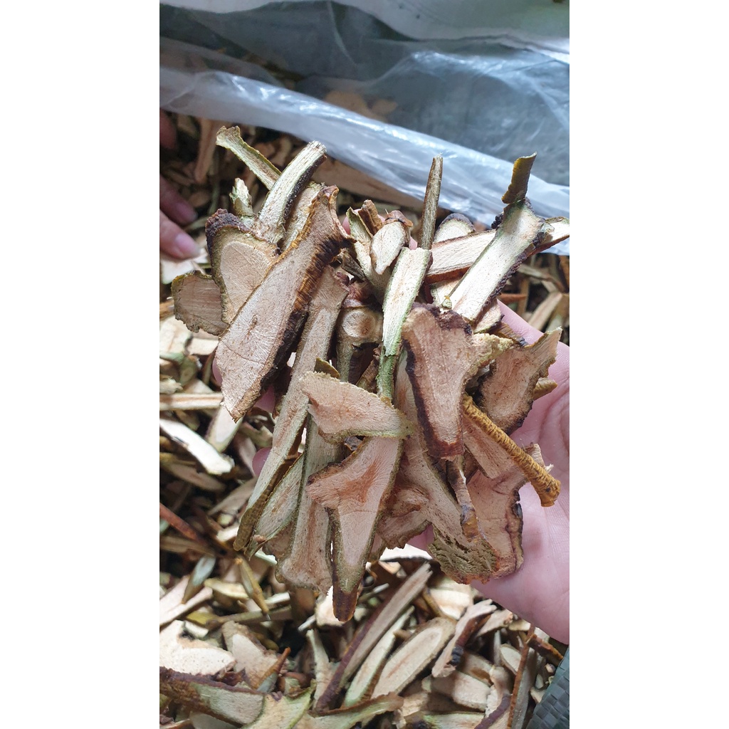 TANG KÝ SINH  - Tuệ Minh