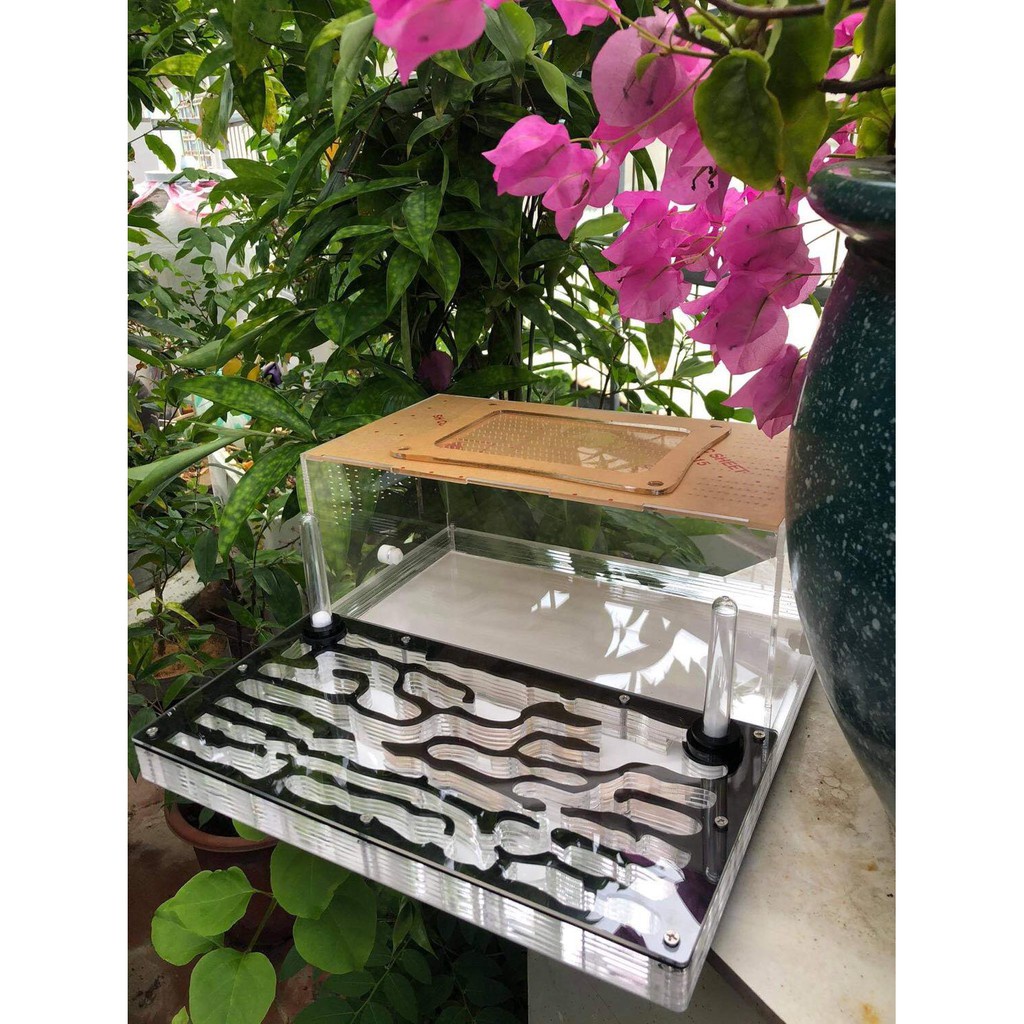 Tổ nuôi kiến 30-30-12cm