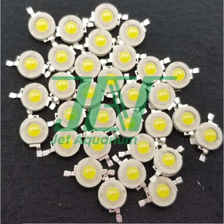 Led 1w Luxeon Epistar Trắng 10000k [CHÍNH HÃNG, CHUẨN BƯỚC SÓNG] Ánh sáng mạnh, Tiết kiệm điện, Tuổi thọ 50000h | BigBuy360 - bigbuy360.vn