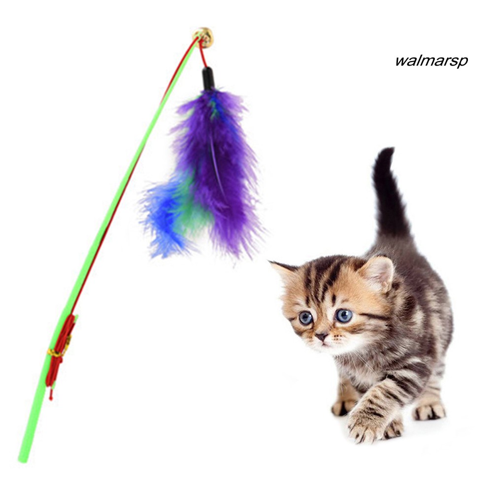 Gậy đồ chơi tương tác với mèo có lông vũ và chuông