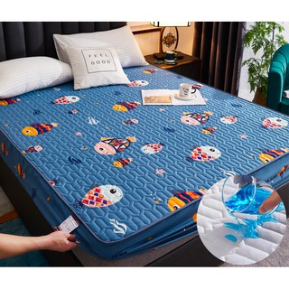 Ga Chống Thấm Cotton Cao Cấp + Gối