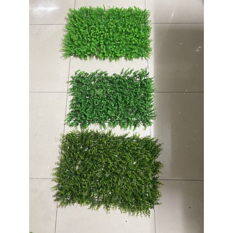 Thảm cỏ treo từơng (vĩ cỏ tai chuột size: 40 x 60cm)