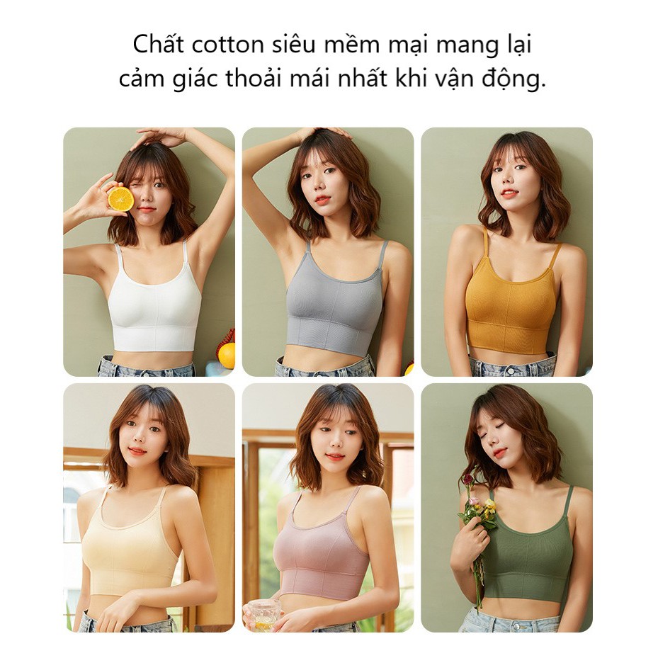 Áo bra tập gym, áo ngực cotton có mút ngực mềm mại A/C069 | BigBuy360 - bigbuy360.vn