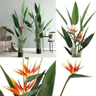 Cây giả - Cây Thiên điểu