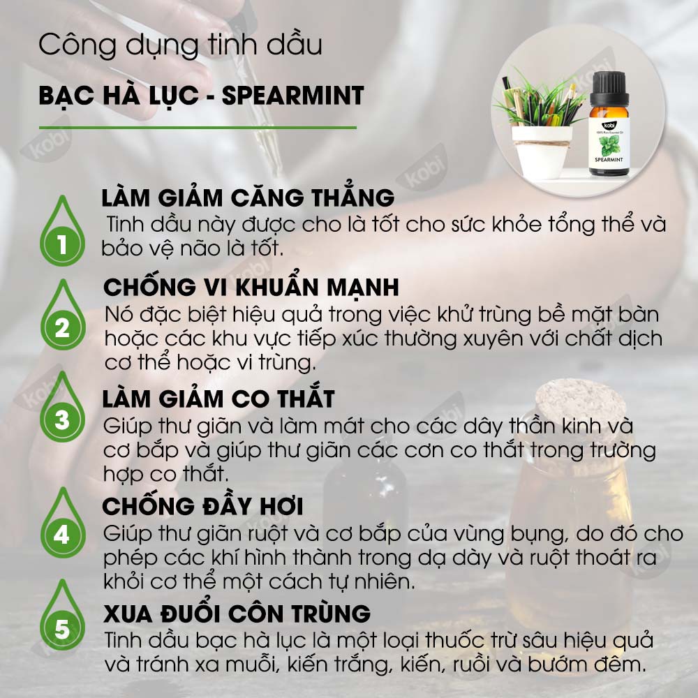 Tinh dầu Bạc Hà Lục Kobi Spearmint essential oil giúp kháng khuẩn, giảm căng thẳng hiệu quả - 10ml