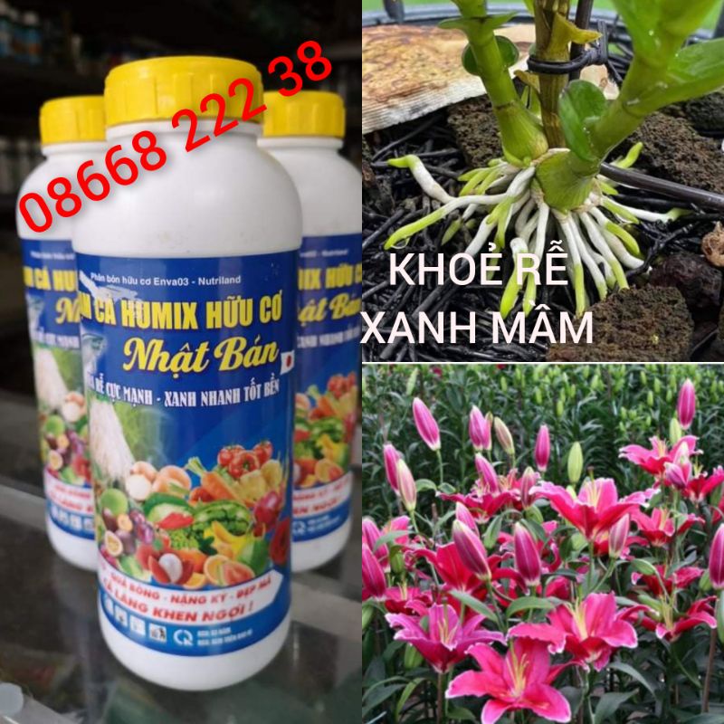 PHÂN BÓN HUMIX CÁ HỒI : KHOẺ RỄ : BẬT MẦM : TĂNG TRƯỞNG : CHAI TO 1 LÍT