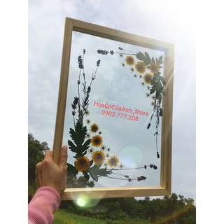 KHUNG TRANH ÉP HOA KHÔ