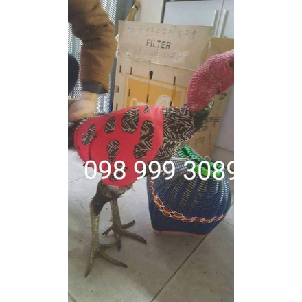 Giỏ xách gà chọi  tặng áo gà,trạng 2-4kg