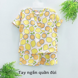 Bộ tole đùi bé trai size đại 25kg-40kg