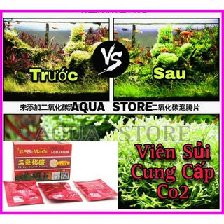 Viên nén CO2 cung cấp CO2 cho hồ thủy sinh cá cảnh