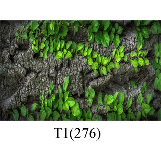 Tranh dán hồ cá 3d , hồ cá rồng , la hán , cá dĩa …