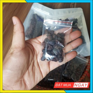 [BÁN LẺ] Hạt Dổi Rừng Cổ Thụ Loại Thượng Hạng - Bán Lẻ Dùng Thử Hạt Dổi