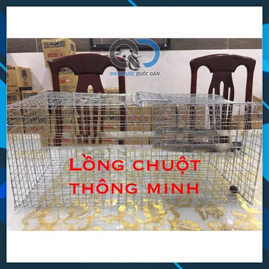 LỒNG BẮT CHUỘT - LỒNG BẪY CHUỘT THÔNG MINH