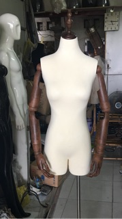 Manocanh có tay
