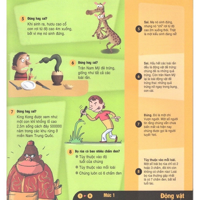 Sách Maxi Quiz Trắc nghiệm toàn diện về Bách khoa tri thức (BÌA VÀNG)