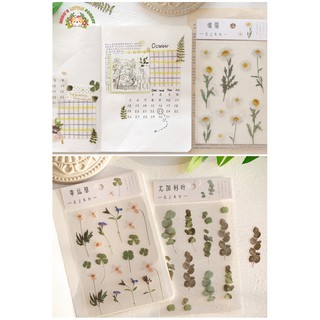STICKER HOA KHÔ VER.1 | MST254