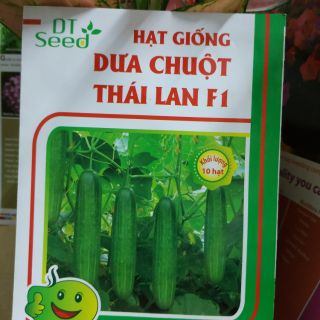 HẠT GIỐNG DƯA CHUỘT NGỌT THÁI LAN 10H - Rau củ quả trồng tại vườn, sân thượng, nông trang, ban công