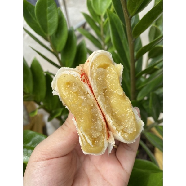 Bánh pía truyền thống Sóc Trăng nhân đậu 320gam  không trứng