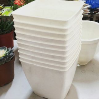 Chậu nhựa vuông trắng đẹp 16cm siêu hót