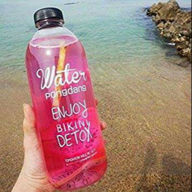 Combo 10b bình nước pongdang 1000ml