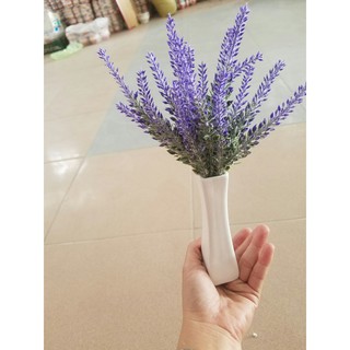 Chậu hoa lavender để bàn