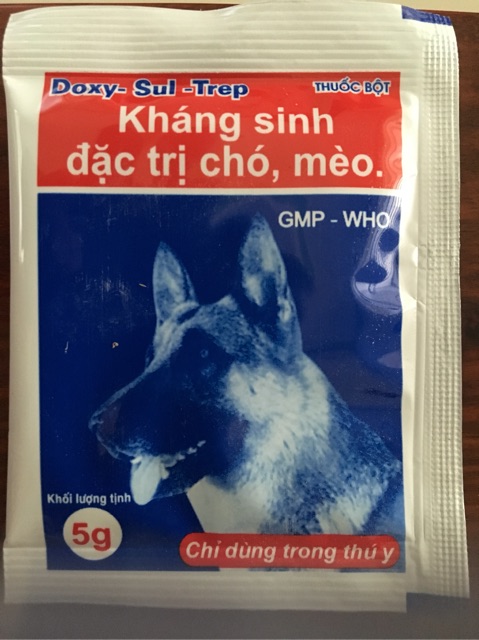5 gói kháng sinh đặc trị chó mèo