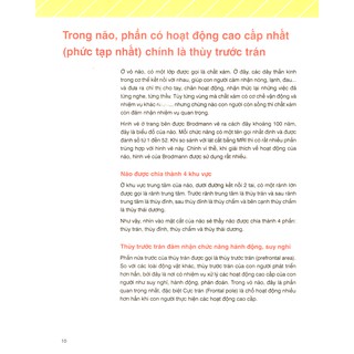 Nuôi Dưỡng Não Trẻ Từ 0 - 2 Tuổi