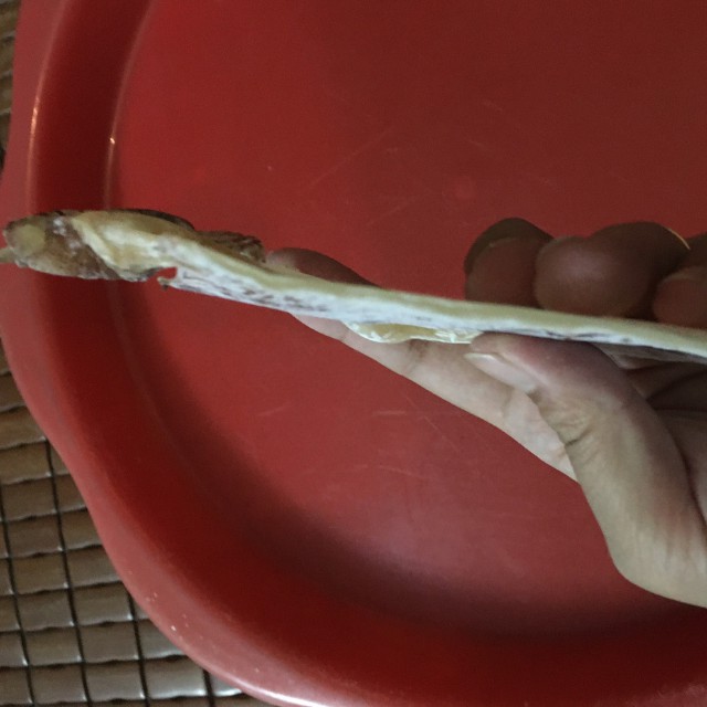 [Mực Câu Ngon] Gói 20 Con Mực Khô Vân Đồn To Bằng Bàn Tay | BigBuy360 - bigbuy360.vn