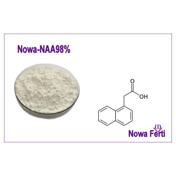 Chất kích rễ siêu mạnh Naa Ấn Độ 99% túi 100g Naphthalene Axit Acetic - Naphthaleneacetic acid