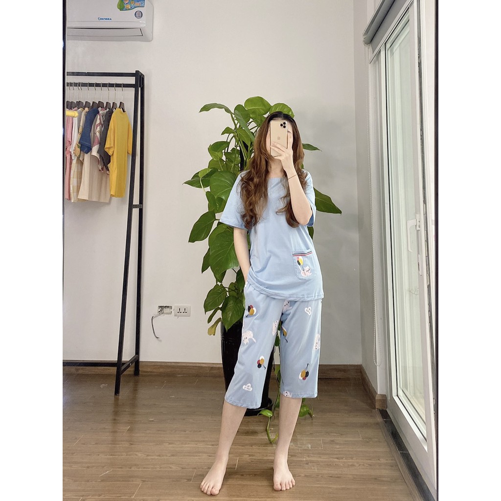Bộ cotton mặc nhà Quảng Châu cộc tay quần lửng co giãn 4 chiều #Mây #Thỏ