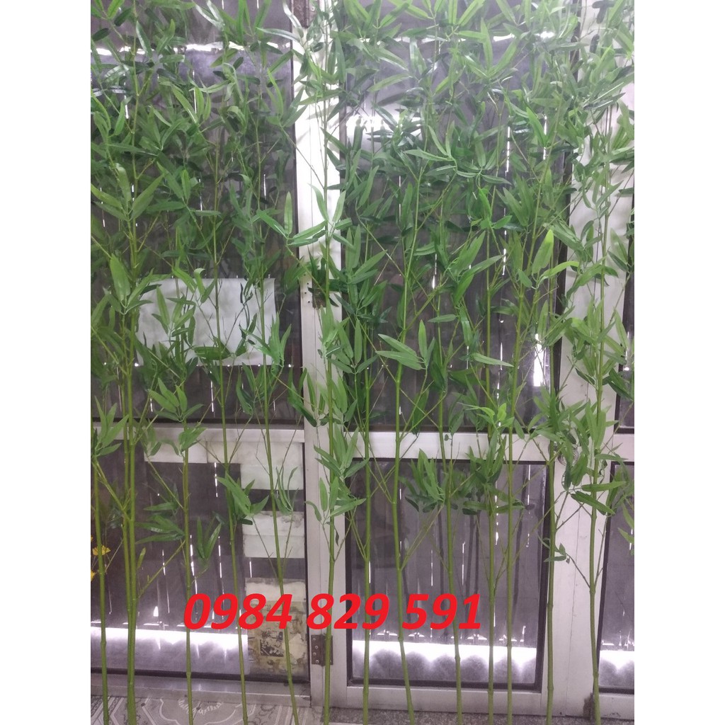 Cây Trúc giả cao cấp trang trí nhà cửa sân vườn.