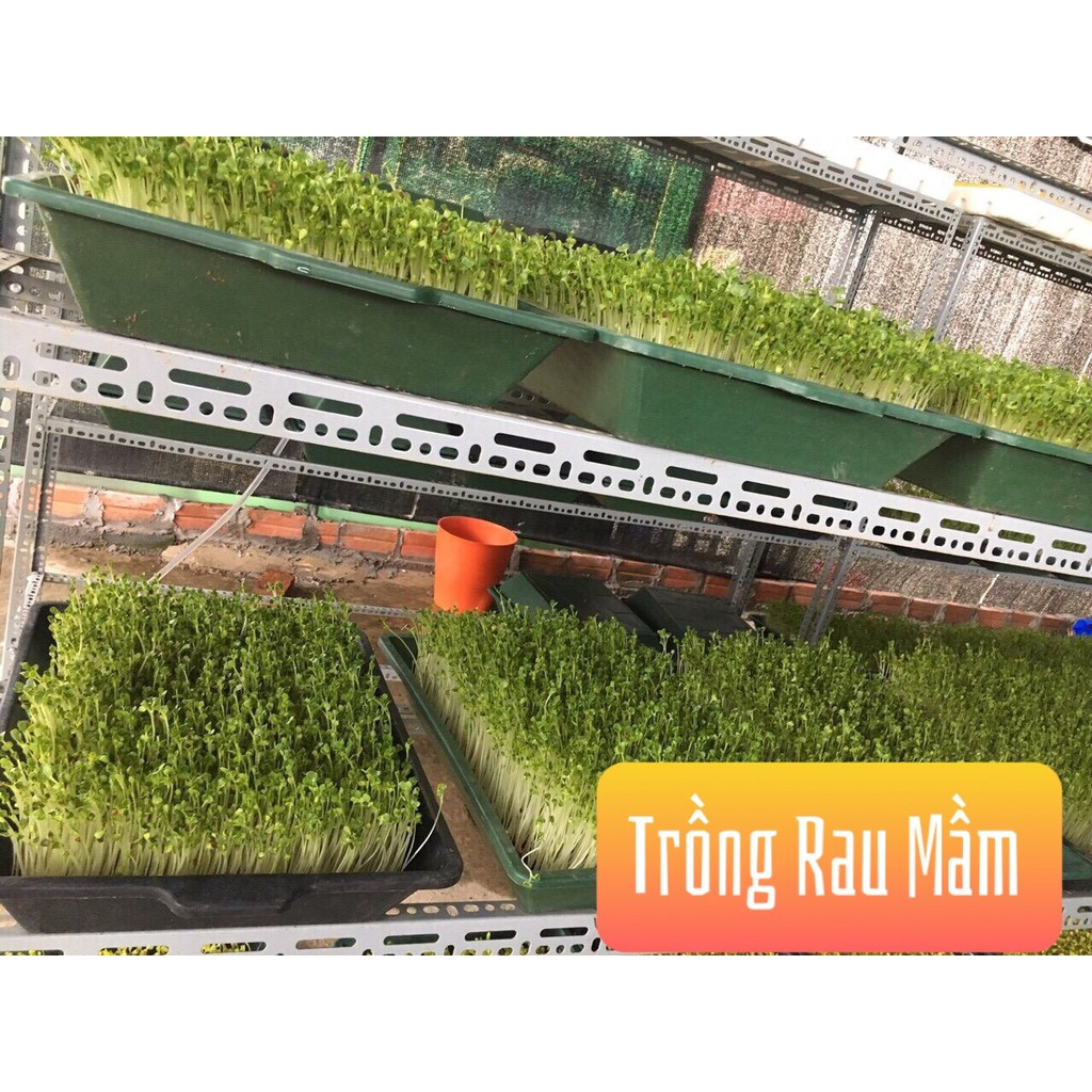 Combo 4 bánh mụn dừa sạch trồng rau ươm cây con