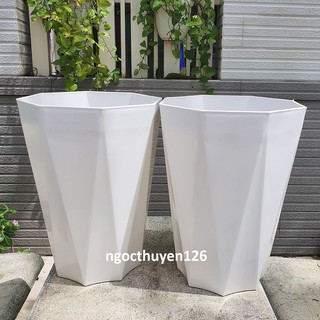 Bộ 02 chậu nhựa tám cạnh 31x40cm màu trắng phù hợp cho hoa kiểng, cây ăn trái nhỏ...
