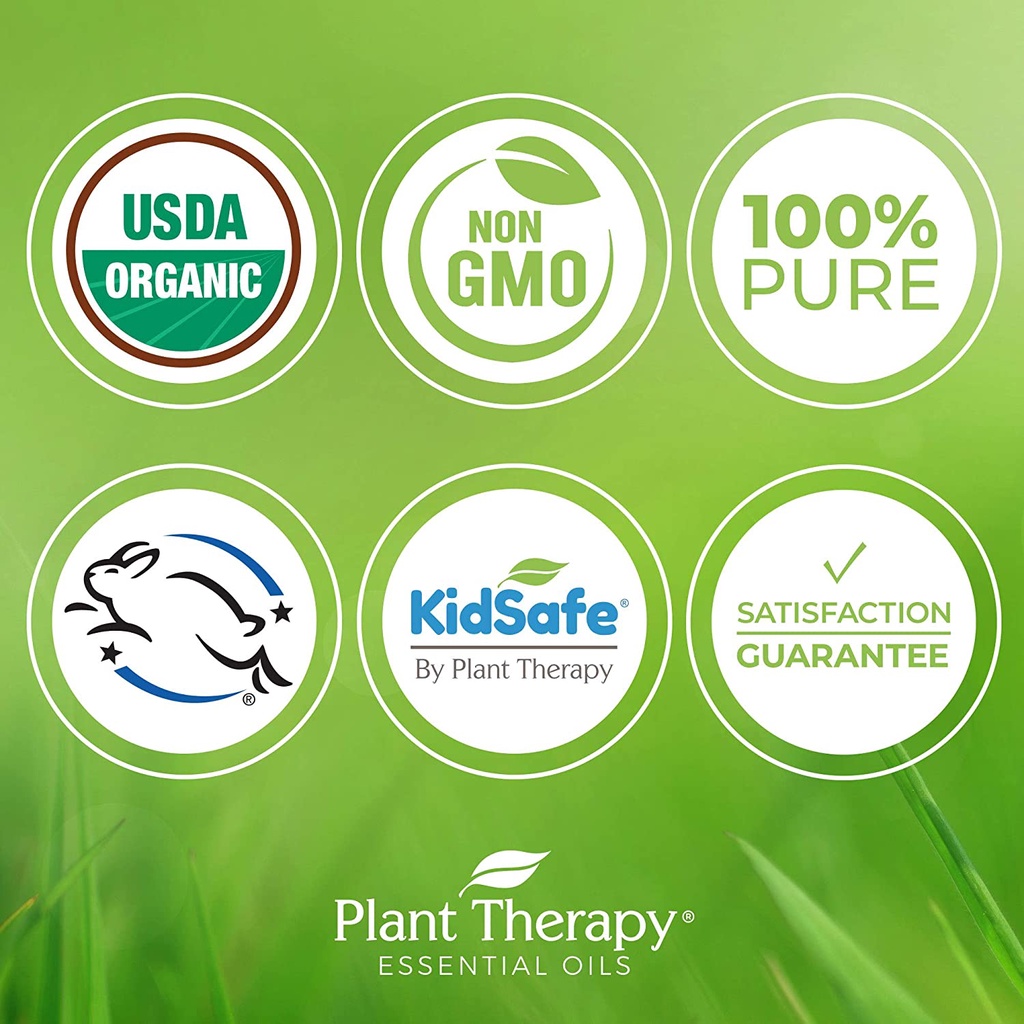 Plant Therapy - Dầu Hạt Hướng Dương hữu cơ nguyên chất - USDA Organic Sunflower carrier oil