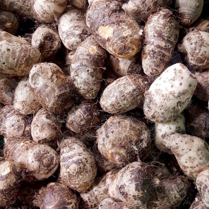 KHOAI MÔN ruột vàngmới nhổ-1Kg