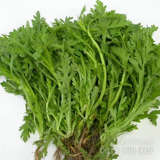 Combo hạt giống cải mơ hoàng mai, bí hạt đậu, bí mật