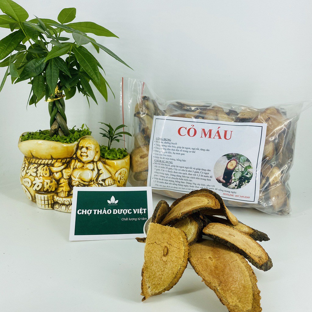 [Giá Sỉ] 500g Cây Cỏ Máu (Khô, Sạch, Đẹp)