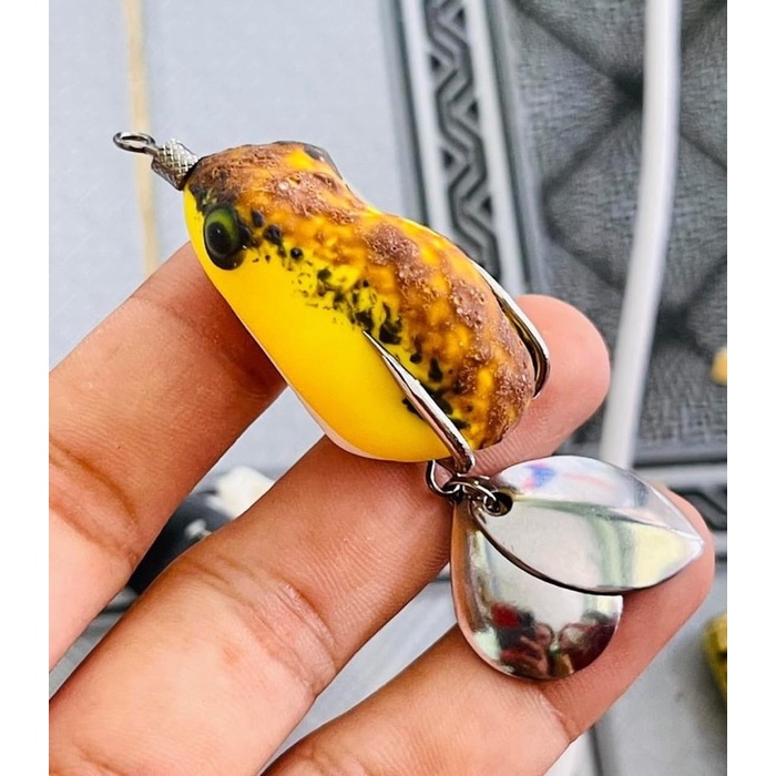 NHÁI HƠI CÂU LURE ẾCH TRÒN