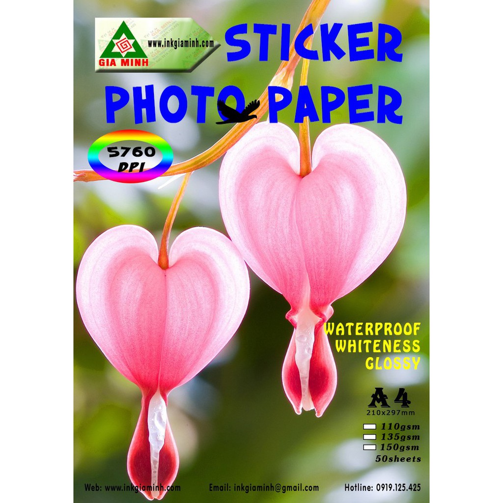 Giấy decal mặt bóng A4