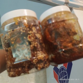 Mực Rim Đà Nẵng
